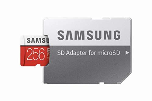 Samsung EVO Plus 2020-256 GB - MicroSDXC, classe 10, UHS-I, 100 MB/s, 90 MB/s